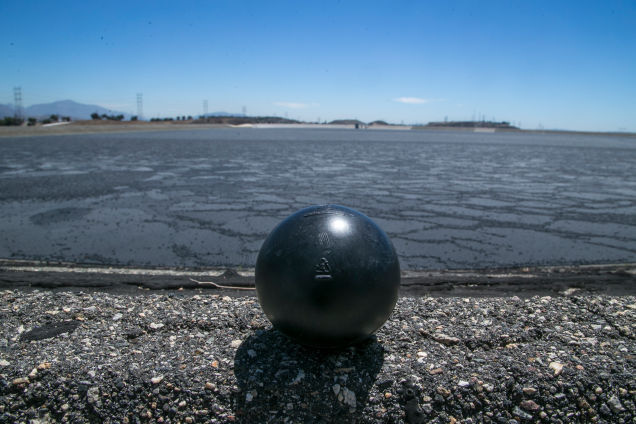 Đổ 96 triệu quả bóng đen xuống mặt hồ trong xanh, tưởng là phá hoại môi trường nhưng biết được ý nghĩa sâu xa thì cả thế giới phải nể phục - Ảnh 6.