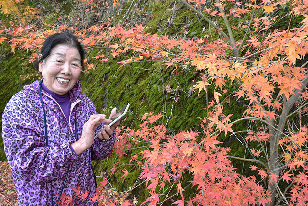 Kỳ lạ nghề hái lá cây giúp hội chị em cao tuổi Nhật Bản thu về hơn 50 tỷ đồng/năm! - Ảnh 12.