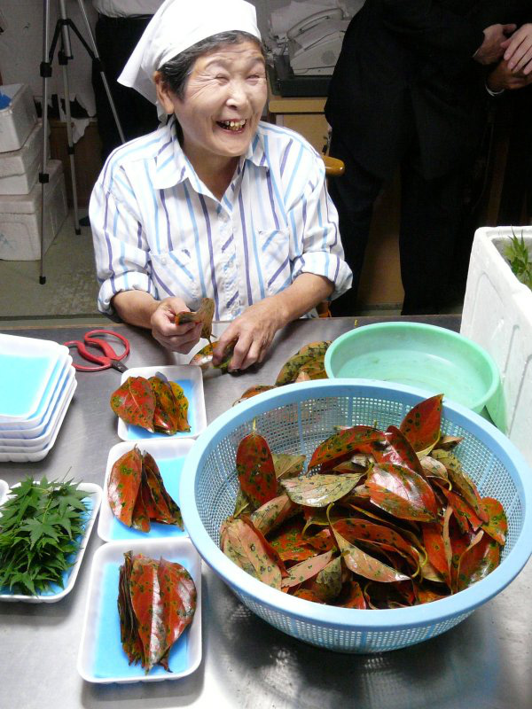Kỳ lạ nghề hái lá cây giúp hội chị em cao tuổi Nhật Bản thu về hơn 50 tỷ đồng/năm! - Ảnh 5. Kỳ lạ nghề hái lá cây giúp hội chị em cao tuổi Nhật Bản thu về hơn 50 tỷ đồng/năm! - Ảnh 5.