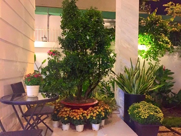 Khám phá khu vườn xanh mướt mắt trong căn biệt thự 21 tỷ của MC Quyền Linh khu vuon xanh muot mat trong can biet thu 21 ty cua mc quyen linh Khám phá khu vườn xanh mướt mắt trong căn biệt thự 21 tỷ của MC Quyền Linh