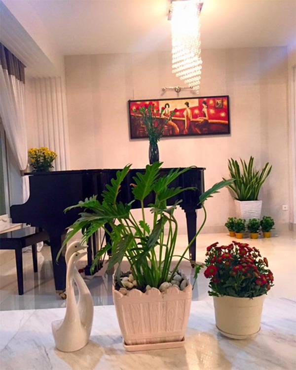 Khám phá khu vườn xanh mướt mắt trong căn biệt thự 21 tỷ của MC Quyền Linh khu vuon xanh muot mat trong can biet thu 21 ty cua mc quyen linh Khám phá khu vườn xanh mướt mắt trong căn biệt thự 21 tỷ của MC Quyền Linh