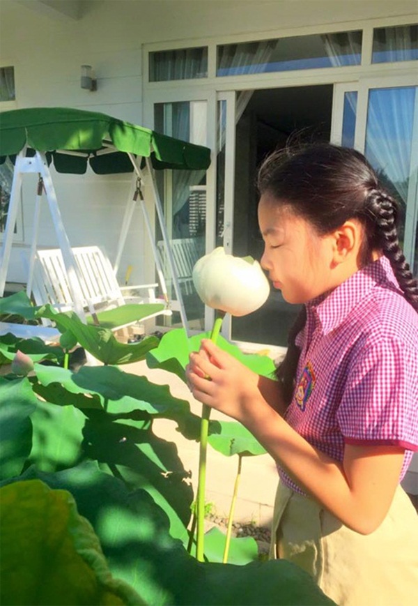 Khám phá khu vườn xanh mướt mắt trong căn biệt thự 21 tỷ của MC Quyền Linh khu vuon xanh muot mat trong can biet thu 21 ty cua mc quyen linh Khám phá khu vườn xanh mướt mắt trong căn biệt thự 21 tỷ của MC Quyền Linh