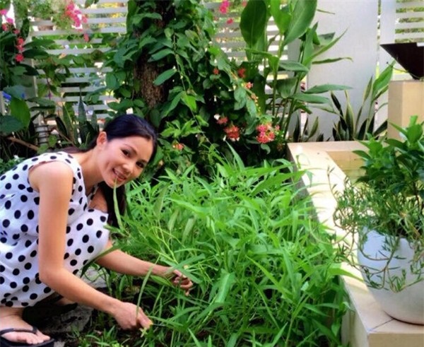 Khám phá khu vườn xanh mướt mắt trong căn biệt thự 21 tỷ của MC Quyền Linh khu vuon xanh muot mat trong can biet thu 21 ty cua mc quyen linh Khám phá khu vườn xanh mướt mắt trong căn biệt thự 21 tỷ của MC Quyền Linh
