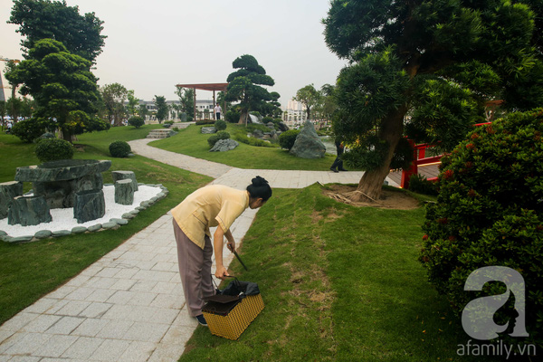 
Không gian xanh với hệ thống cây cổ thụ chiếm vị trí chủ đạo và luôn có nhân viên dọn dẹp vệ sinh.
