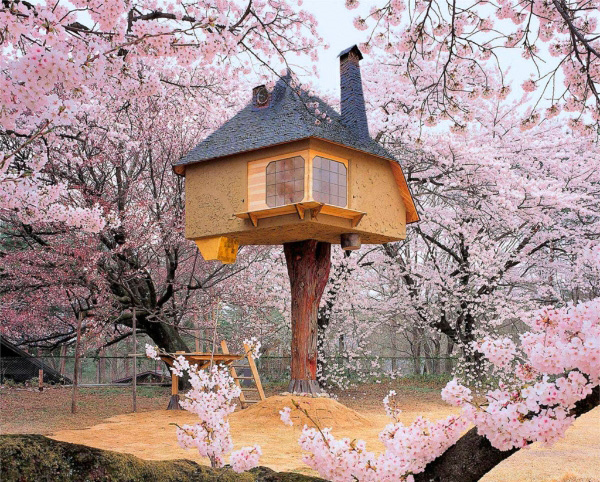 Ngôi nhà trên cây mang hình dáng tựa như một chú chim hạc được xây dựng giữa một rừng hoa anh đào với sắc màu hồng lãng mạn.
