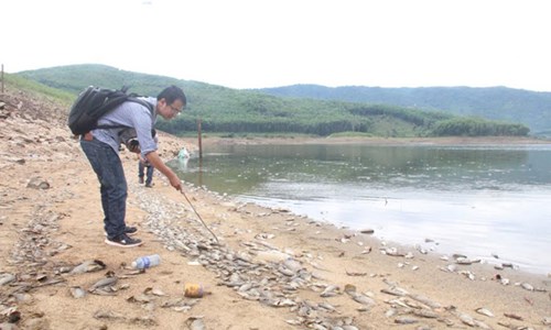 Tại hiện trường phóng viên chứng kiến cá chết tràn trắng dạt bờ hồ. Một số mới chết cá chết bốc mùi hôi thối, xác cá chết lâu ngày đã khô nằm la liệt phía bờ. 