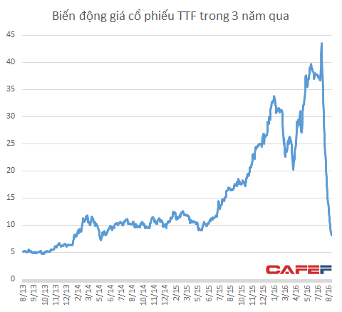 
Thành quả tăng giá suốt 3 năm của TTF bị xóa sạch chỉ sau 1 tháng
