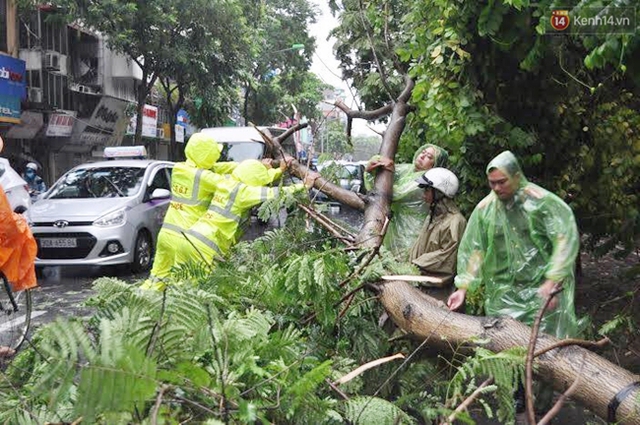 Khu vực Lê Duẩn, lực lượng chức năng cùng công nhân công ty cây xanh cũng đang tiến hành dọn dẹp cây đổ chắn ngang đường.