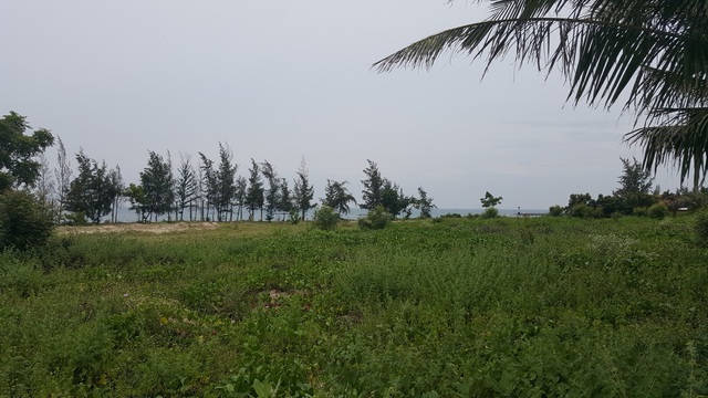 
Bãi biển Cá Ná vẫn còn hoang sơ, nhiều năm qua một số dự án cắm mốc xí đất nhưng không đầu tư.

