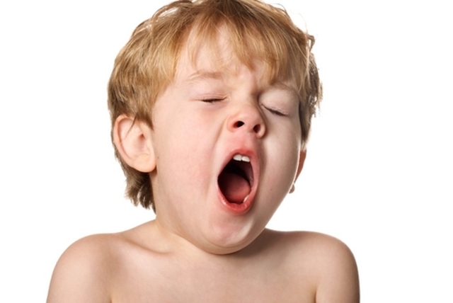 Theo các chuyên gia y học, ngáp là một hoạt động để trẻ hóa não.