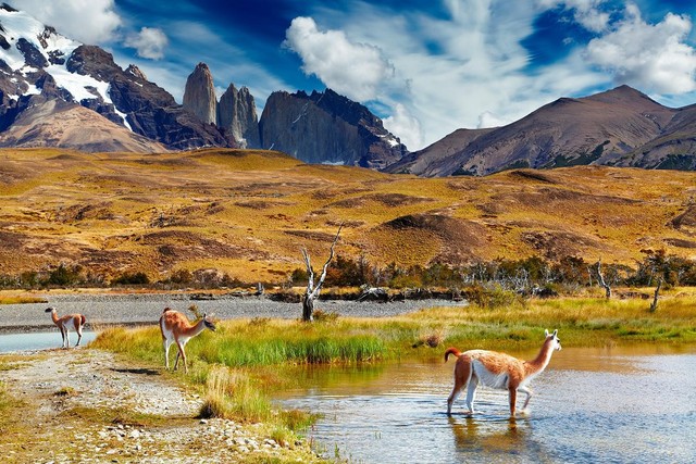 Torres Del Paine, Chi lê ở miền nam Patagonia là một công viên quốc gia nổi tiếng với những ngọn núi đẹp, sông băng và hồ. Đặt chân đến phía nam Patagonia là bạn có thể tản bộ xung quanh các đỉnh núi đá granit đẹp hơn tranh vẽ.