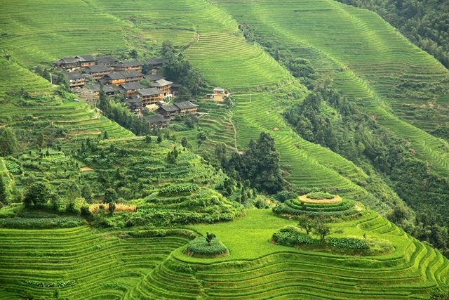 Ruộng bậc thang ở Longsheng, Trung Quốc. Cái tên Longsheng được đặt theo từ Longji- xương sống của rồng. Các thềm đất giống như vảy rồng, trong khi những cánh đồng lúa cứ uốn khúc quanh từng ngọn núi.