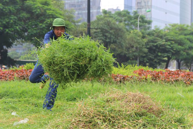 
Công nhân cắt, dọn cỏ
