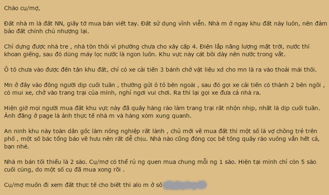 Một quảng cáo mua bán đất bãi giữa sông Hồng trên mạng. Ảnh Hoàng Long