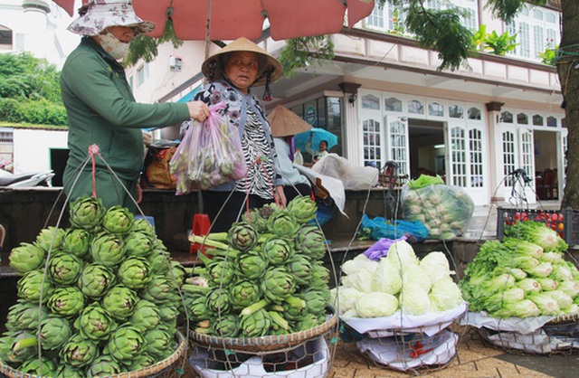 Bông astiso tại TP Đà Lạt giá tăng gấp 3 lần so với ngày thường.