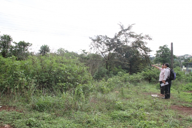 Dự án đường Nguyễn Văn Linh- Pleiku, Gia Lai, cỏ mọc như rừng đã 7 năm qua.