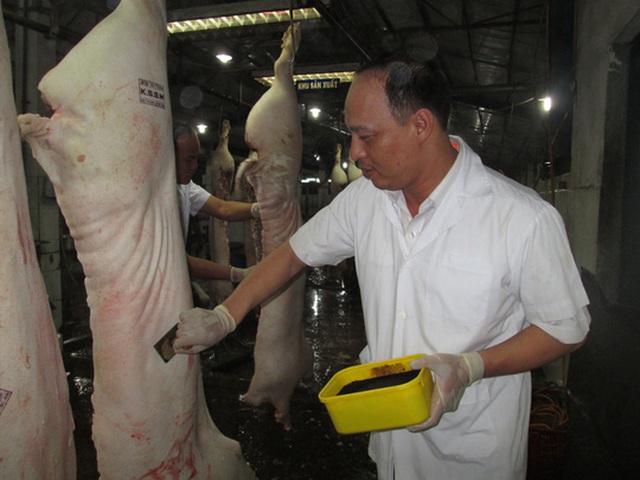 
Trung Quốc ngưng nhập, nguồn cung thịt heo đang trông chờ vào thị trường trong nước Ảnh: NGỌC ÁNH
