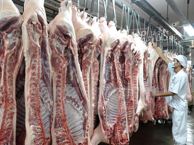 
Thịt lợn được kiểm tra chất lượng tại lò giết mổ ở Thành phố Hồ Chí Minh. (Ảnh: Kim Phượng/TTXVN)

