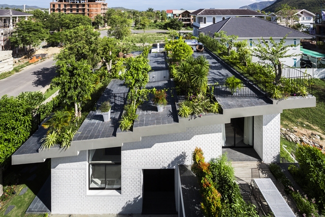 
Còn đây là một ngôi nhà độc đáo ở Nha trang với một khu vườn trồng nhiều cây xanh và các loài thực vật khác ở trên phần mái của ngôi nhà.

 
