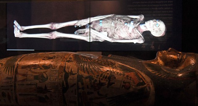 Cỗ quan tài của một xác ướp Ai Cập cùng hình chụp CT đang được trưng bài tại một cuộc triển lãm ở Sydney, Australia. Ảnh: AFP.