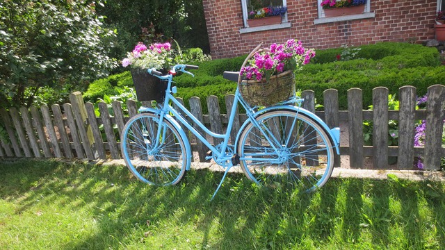 
Chiếc xe đạp màu xanh như thổi bầu không khí dịu mát cho cả khu vườn.

 
