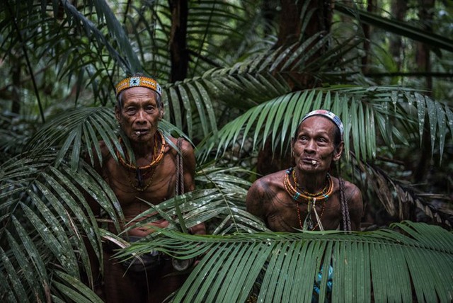 Hai người đàn ông thuộc bộ lạc Mentawai trong rừng già trên đảo Siberut, Indonesia. Ảnh: New York Times.