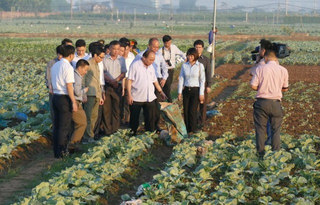 
Với một tổ công tác rất gọn, không tiền hô hậu ủng, Thủ tướng đã bất ngờ gặp trực tiếp những người sản xuất để kiểm tra, thăm hỏi tình hình an toàn vệ sinh thực phẩm - Ảnh: LÊ KIÊN
