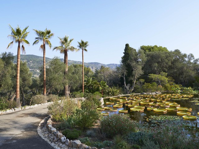 
Hồ nước nằm trong khu vườn thực vật nhìn ra biển Địa Trung Hải tại Villa Les Cedres.
