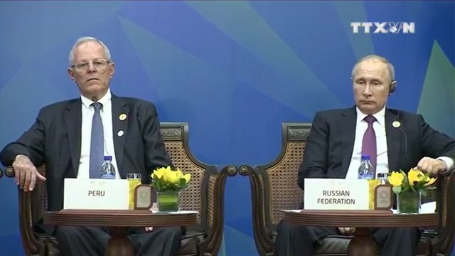 Chủ tịch nước Trần Đại Quang: Đây chính là giai đoạn có ý nghĩa then chốt và quyết định đối với APEC - Ảnh 2.