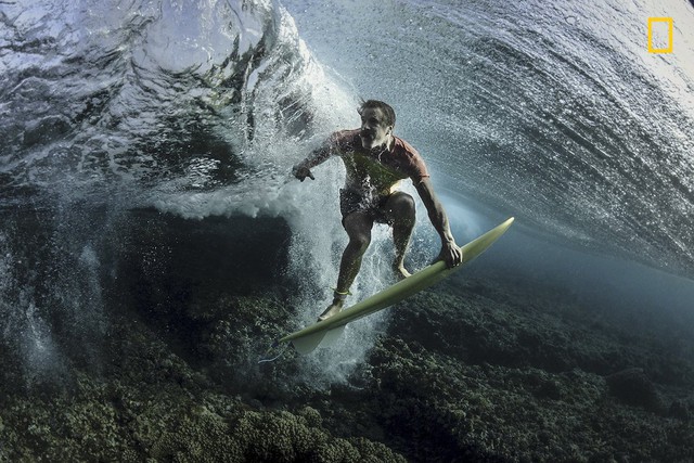 Under the Wave của Rodney Bursiel, bức ảnh chụp một người lướt sóng ở Tavarua, Fiji giành vị trí thứ 3.