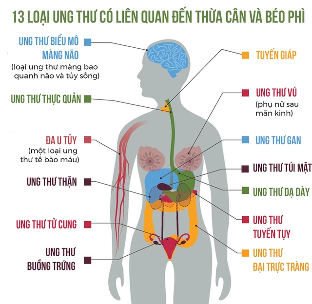 
Hiệp hội Ung thư học Hoa Kỳ chỉ khảo sát 4000 người Mỹ và thấy một sự khác biệt lớn giữa những gì mọi người nghĩ về ung thư.
