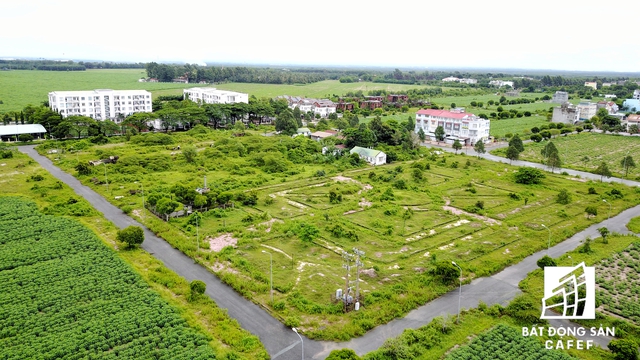 
Dọc theo con đường Lê Hồng Phong là hàng loạt biệt thự có diện tích vài trăm m2 được xây thô rồi bỏ hoang lâu ngày.

 
