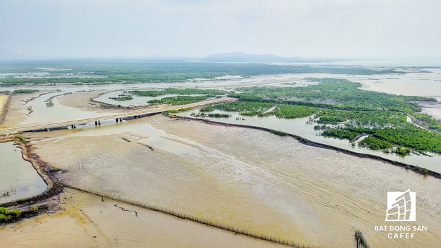 
Phó Thủ tướng yêu cầu tỉnh Bà Rịa-Vũng Tàu báo cáo quá trình giải quyết việc giao và chấm dứt hoạt động dự án lên Thủ tướng trước ngày 30/12/2017.
