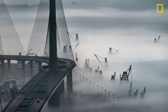 
Hong Kong ẩn hiện trong sương. Chỉ có cây cầu Stonecutters và những chiếc cần cẩu xây dựng còn hiện rõ. Tác giả: Edward Tin.
