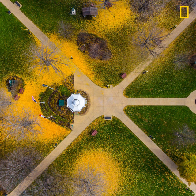 
Một góc công viên ngập tràn lá vàng ở thành phố Dubuque, Iowa, Mỹ.
