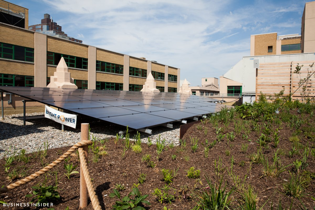 Khoảng 1% điện năng tiêu thụ của Etsy được cung cấp bởi các tấm pin năng lượng mặt trời trên mái nhà. Còn lại, Etsy sử dụng nguồn năng lượng mặt trời được cung cấp bởi địa phương.