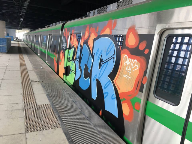 
Các hình vẽ theo phong cách graffiti trên thân tàu đường sắt Cát Linh - Hà Đông. Ảnh: Facebook.
