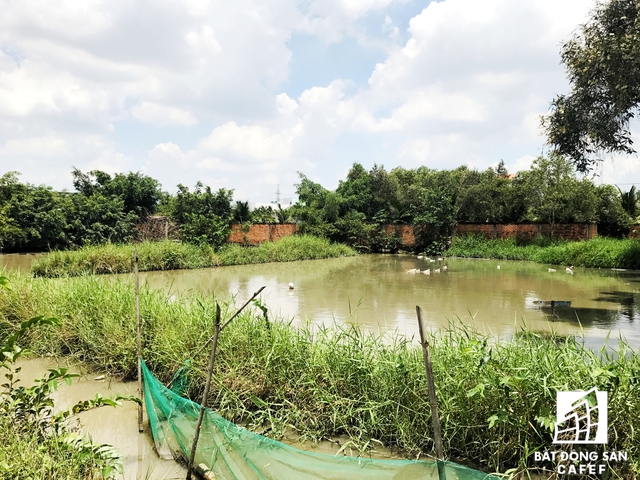 
Những phần đất xung quanh dự án từ lâu được Khang Thông muốn mua lại để mở rộng ranh giới với giá 4 triệu đồng/m2 nhưng thương lượng kéo dài vẫn chưa được người dân chấp thuận
