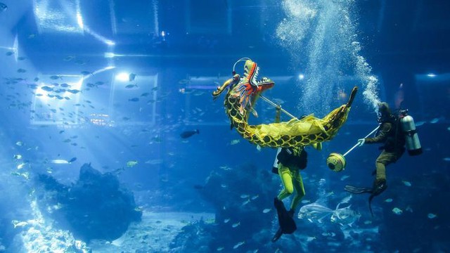 
Múa rồng dưới nước, chương trình biểu diễn nghệ thuật đặc biệt mừng năm mới âm lịch tại Khu nghỉ dưỡng Sentosa, Singapore. Ảnh: AP
