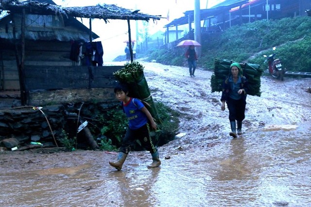 Người dân xã Nậm Càn đi hái lá dong rừng về bán cho thương lái. Ảnh: Phạm Hòa.