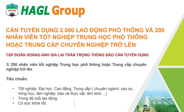 Bầu Đức tuyển thêm 2.200 lao động cho các nông trường HAGL