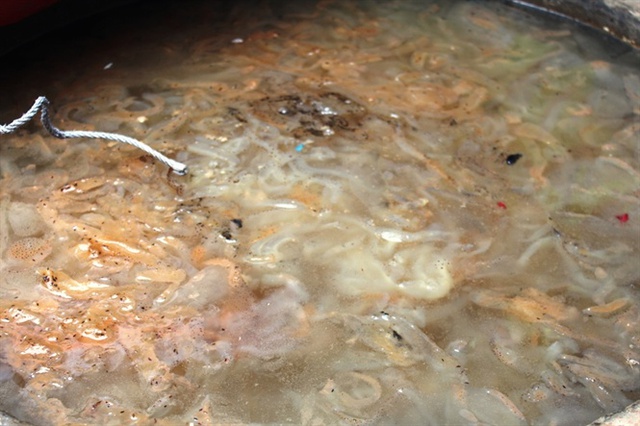 
Hàng trăm tấn sứa ướp muối phèn đã thối rữa, chuyển màu và bốc mùi hôi thối
