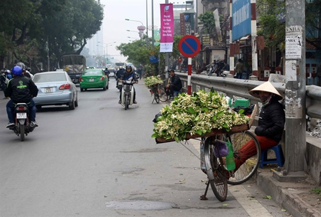 
Khắp phố phường Hà Nội ngập tràn hoa bưởi
