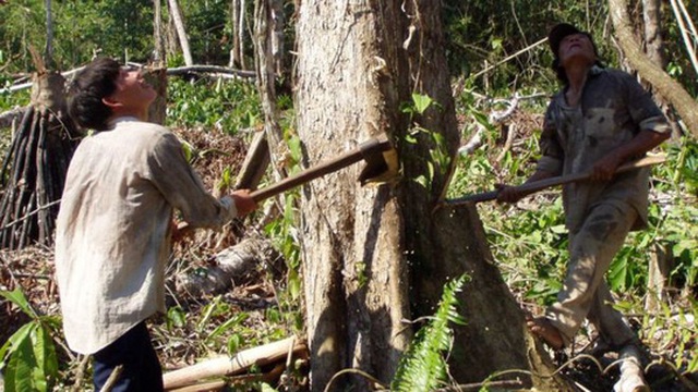 Người Tsimane sống bằng săn bắn, đánh cá và trồng trọt. Ảnh: BBC