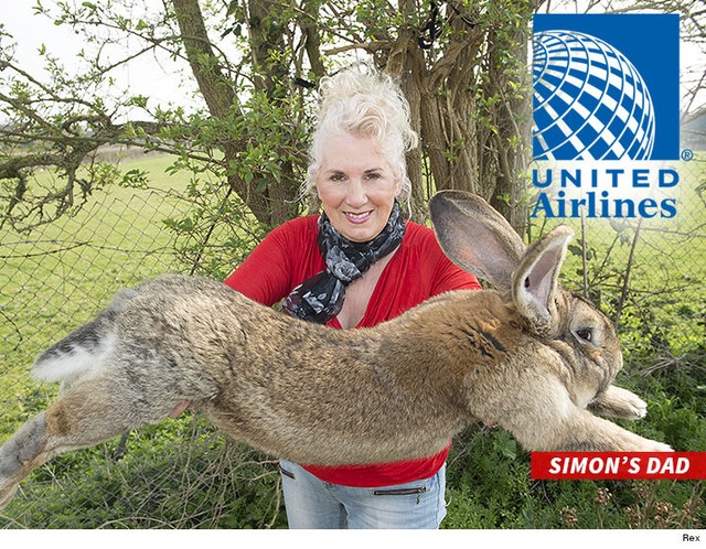 Chú thỏ khổng lồ có tên Simon vừa chết không lý do trong khi chờ chuyến bay của United