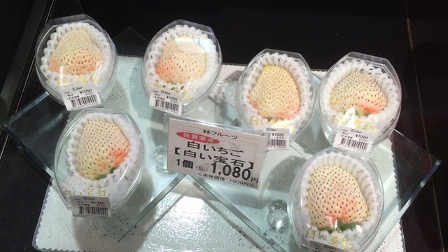 
Dâu trắng được bày bán ở siêu thị với giá... 1.000 yen/quả (khoảng 200.000 VND).
