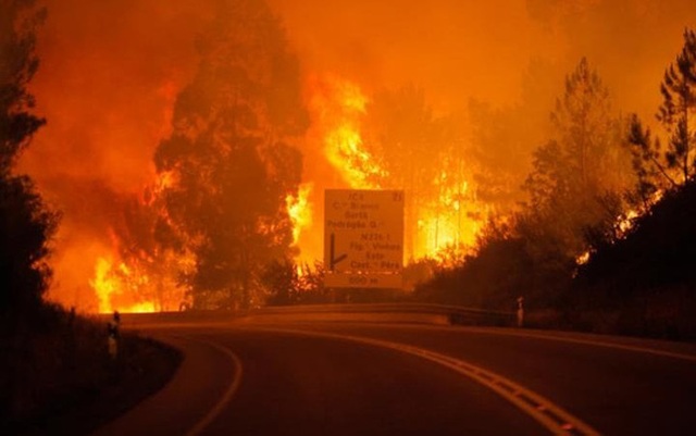 Ít nhất 19 người thiệt mạng và 21 người bị thương trong vụ cháy rừng Pedrogão Grande - Bồ Đào Nha hôm 17-6. Ảnh: EPA
