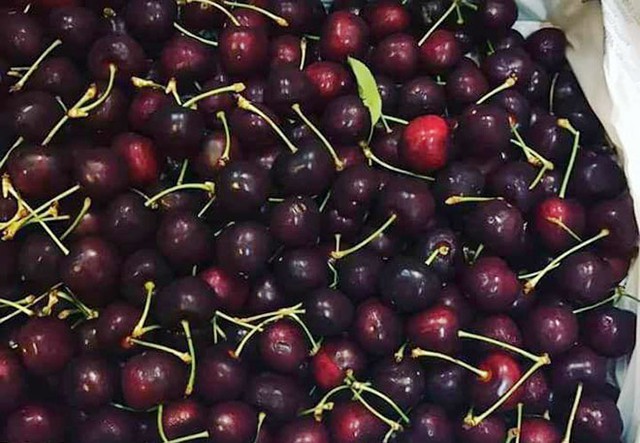 
Những thùng cherry được bán với giá gây sốc không rõ nguồn gốc.
