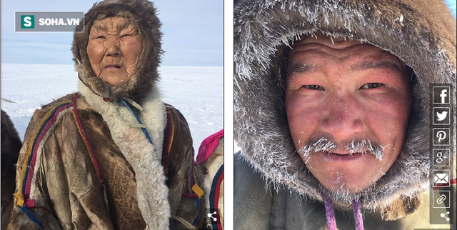 
Người Nenets có khả năng chịu được lạnh tới -50 độ C.

