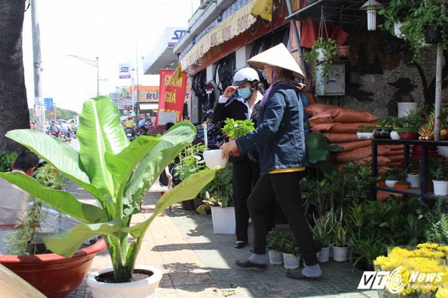 Những ngày này, khu vực đường Trường Chinh gần sân bay Tân Sơn Nhất tấp nập người mua bán.